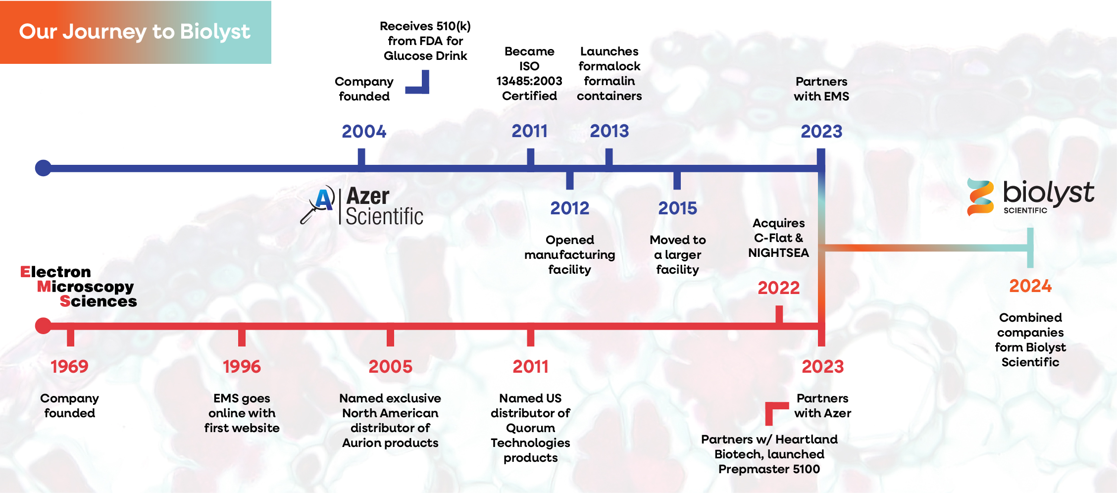 Companies Timeline Graphic